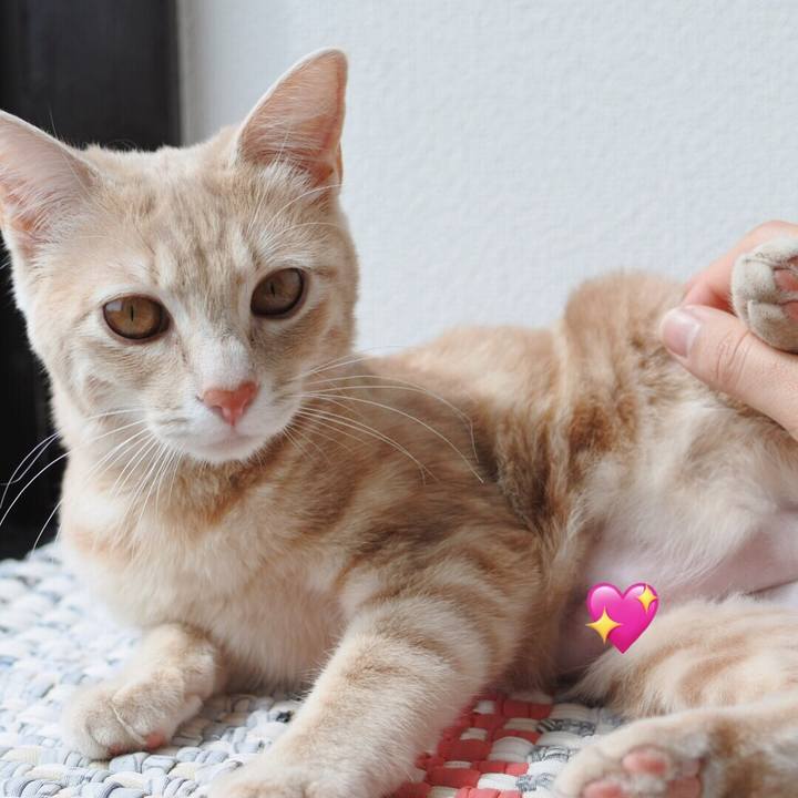 B7702523 3566 45b1 baae e5e5fb53c743 1555463318051