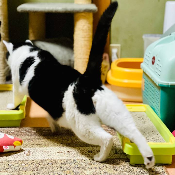 B770b01d aff6 47ea b732 aade879fc8fd 1610936787572