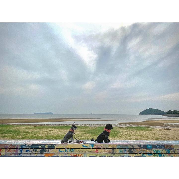 B770b48c 4ddd 4e50 a804 bf45fe42d9d3 1622641790697