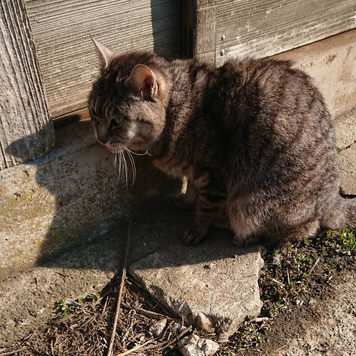 B770d0a9 1245 4a7f 8050 9e415be62074 1552778097607