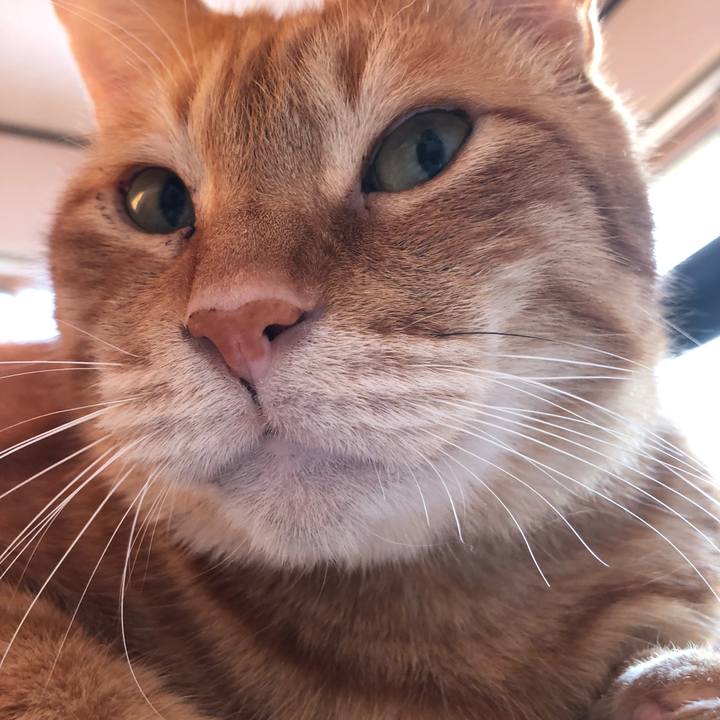 B770ec83 8a72 47f9 a43f b1791df55920 1649278427674