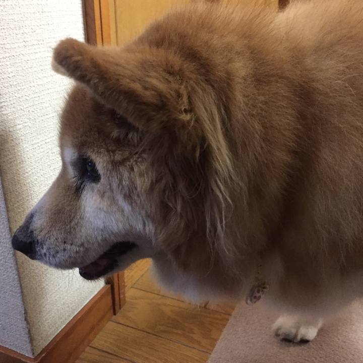 B770f0d8 28b9 41fc 8749 714f3b0b3ff5 1580546613953