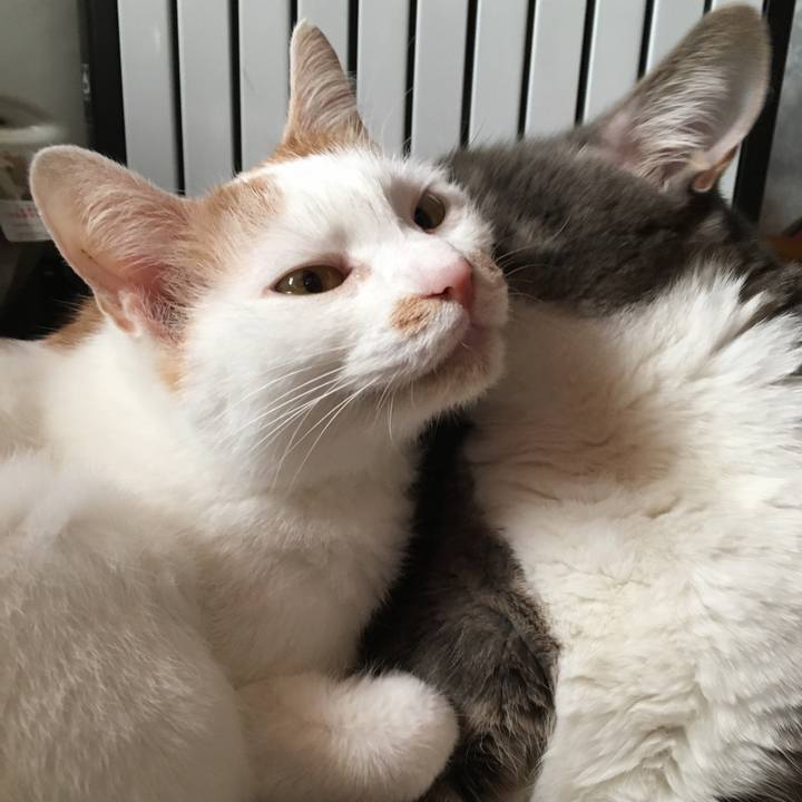 B770f7b7 0c63 4f1d b39d 6a7f97a2d11e 1542976820018