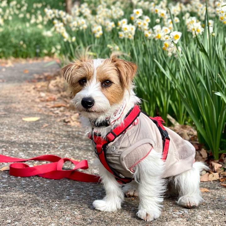 B771002e fbd6 4c2d b045 ef4fad9da1a0 1768806453715