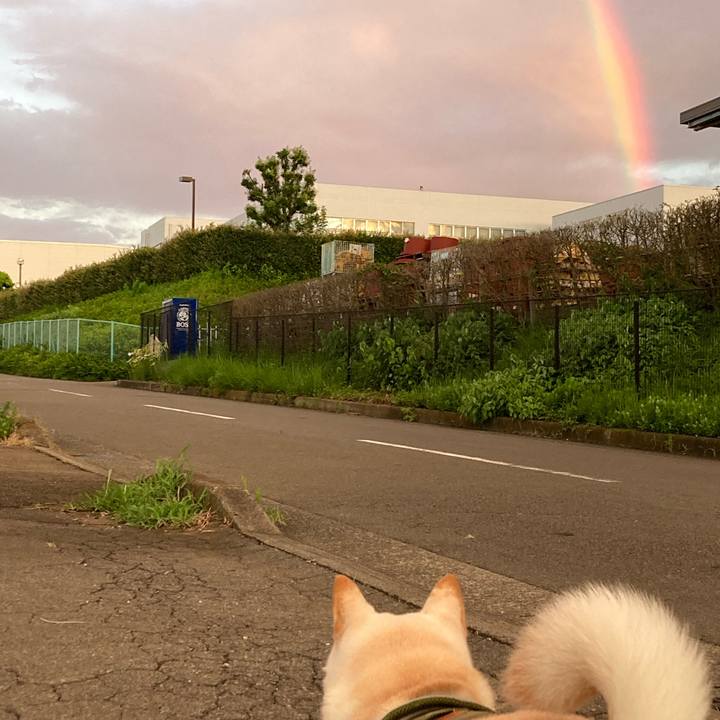 B771159c b6ab 457d 98ee 48c3d2288a5d 1628540296726