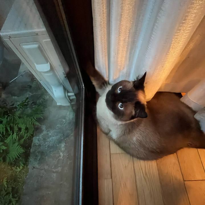 B7712994 5412 43ad a423 e0808b7e0054 1658139063032