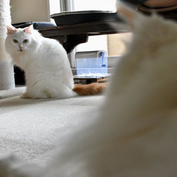 B771db43 5d14 425b accf 12765d1941c4 1776565201353