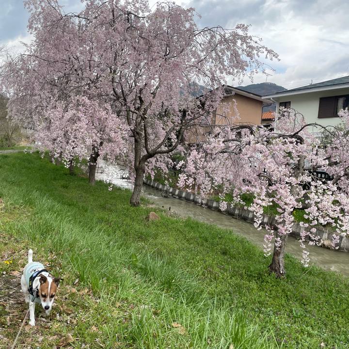 B7721d57 d3ad 41f3 a5cc 282008e81e5a 1745207613619