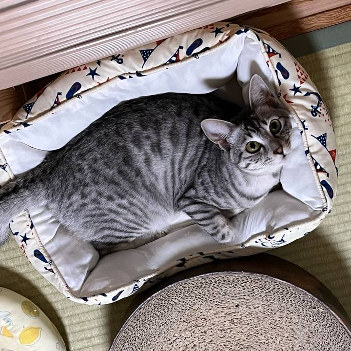 B7722a7c 42d4 4da5 a1f9 fe79fd29c8ac 1724799350954