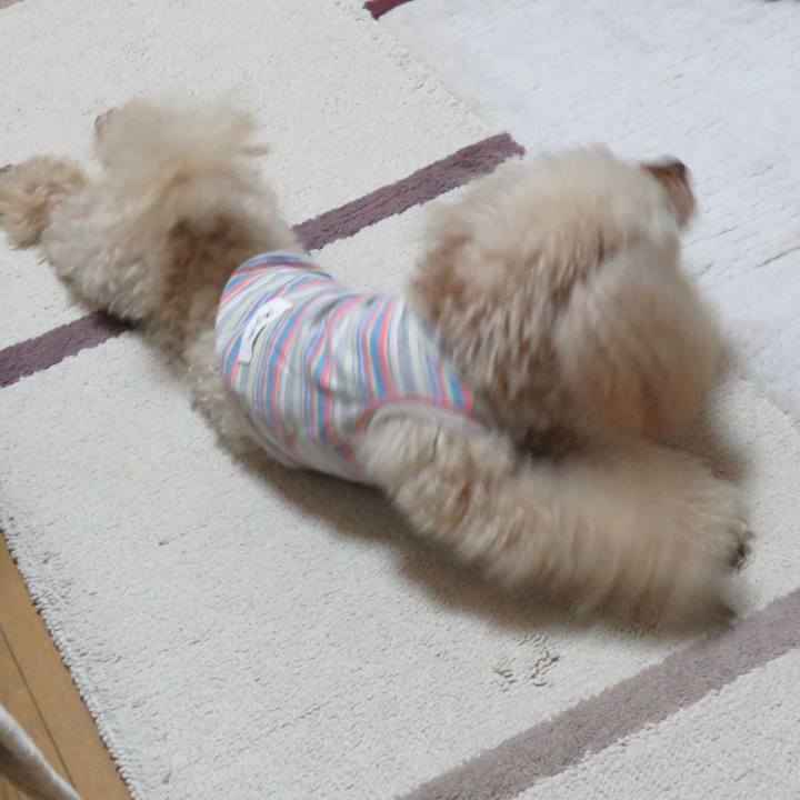 B7724a01 b820 4a9d 831d 7b538b86e1e8 1641708972023