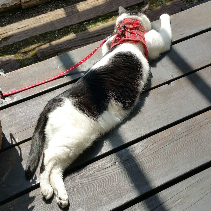 B7726bec 88ce 4602 a931 68c0f7a4b296 1522637528298