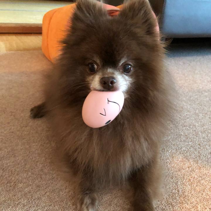 B77293f4 feed 4de1 9ee7 45f1f89accaf 1613087429418