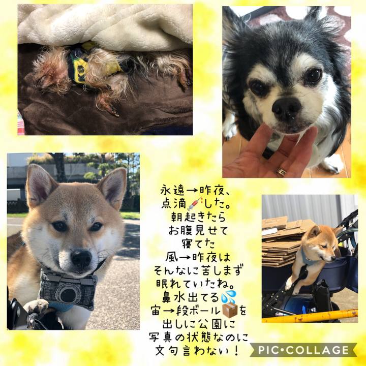 B772bc77 0b22 49ce a6b8 549087b6dadd 1552449206016