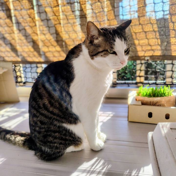 B772e14c 4b17 45f2 91fe 878d664e4fad 1766468652101