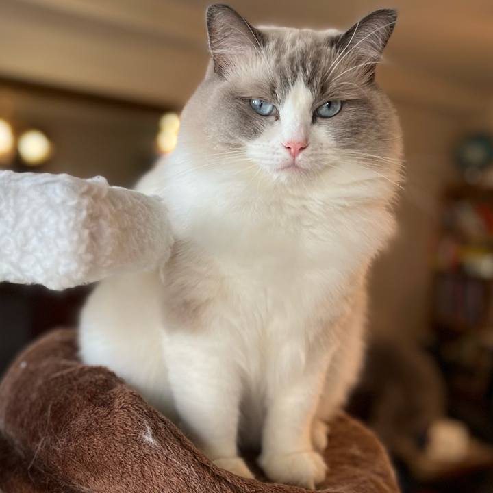 B772f931 96d7 40cc a722 80a8b56186ff 1661060779798