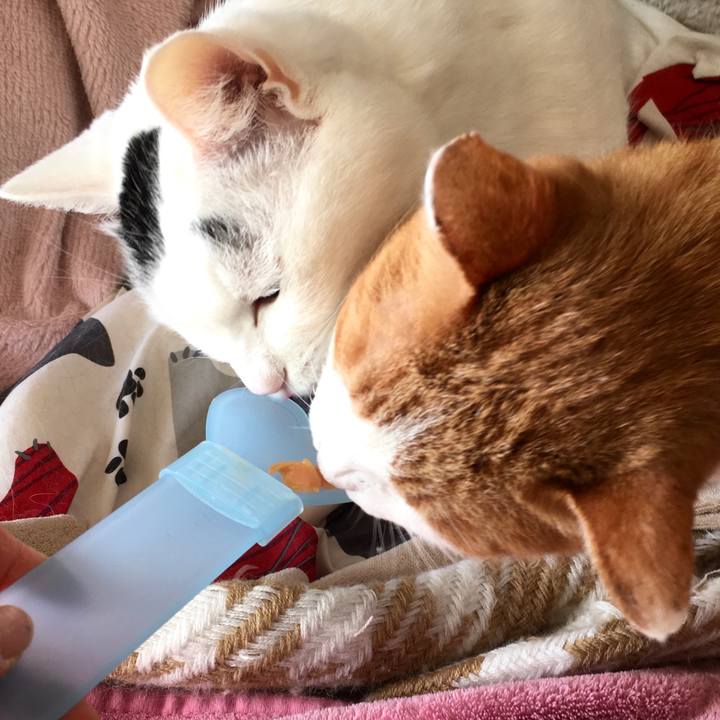 B77324ef 4665 45bc 8e39 19576dbcd619 1577346170410