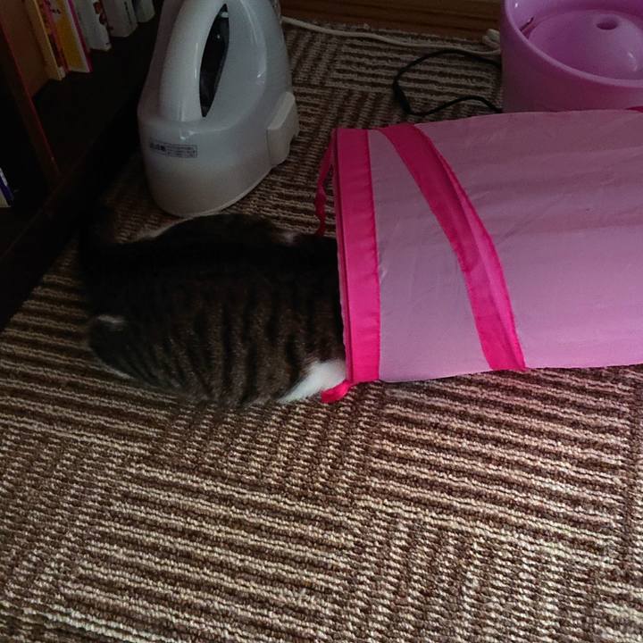 B77346a2 c539 401c b1f6 219f8f777eec 1567913559074