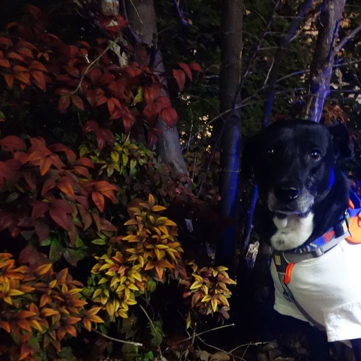 B7737f86 0d66 489f 99e2 8c585f1839e3 1706439213942