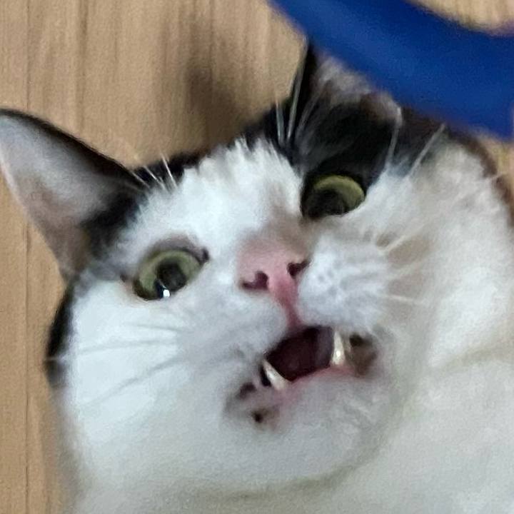 B77389c2 fae1 4498 b97c 3e953f5e8810 1605008328886