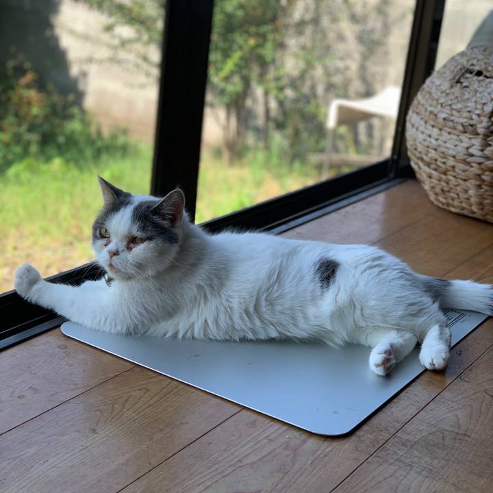 B77392da f034 44bf 95b1 b005231ec669 1754700332610