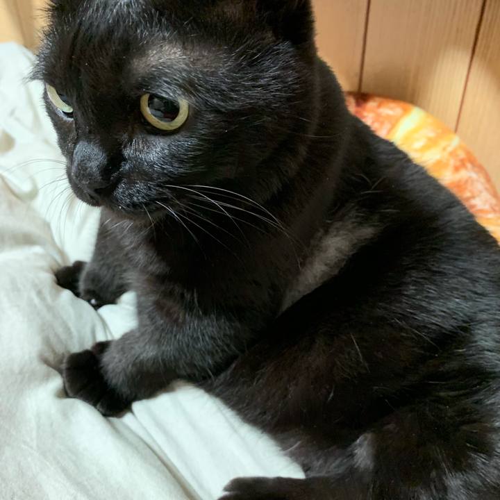 B773af7f bfc2 494c 866d 4eb37b8b1cdd 1563366402207