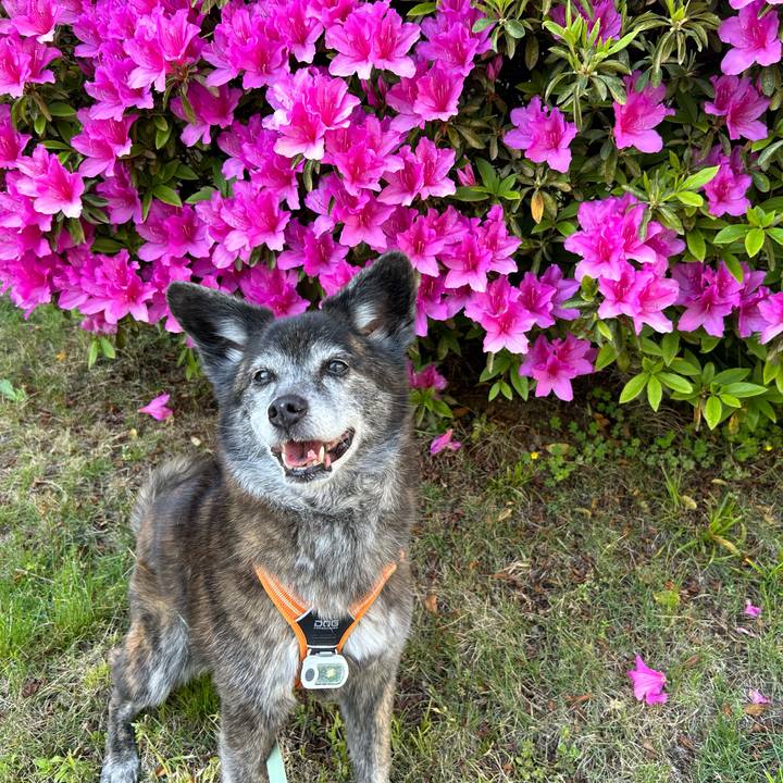 B773b8c3 f528 4d1a 9169 2a828ce0fd2f 1747000504004