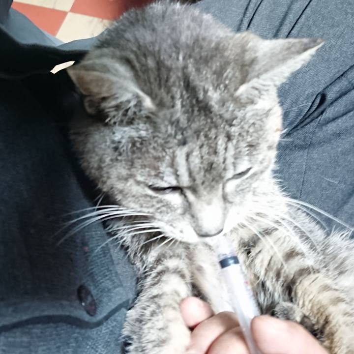 B773daf0 4f0b 41e2 9254 a8b27e1b7940 1579298003108