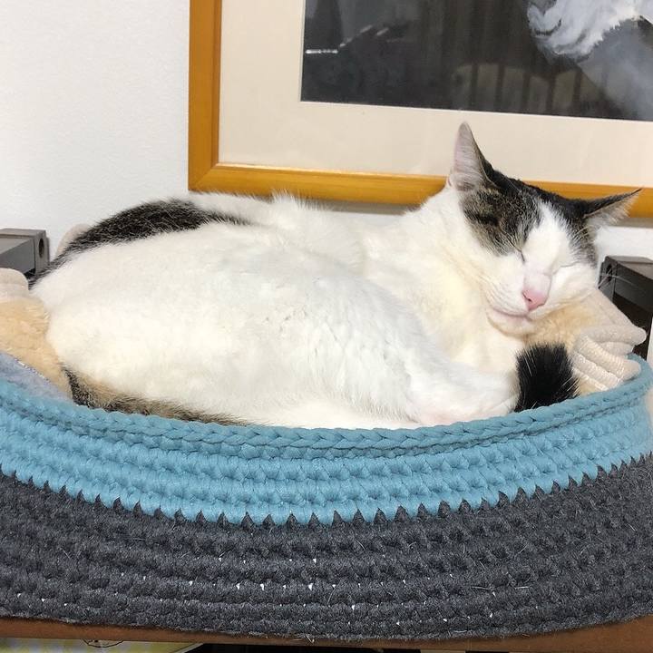 B774083d d628 473a 9b78 a76317436532 1640961121919