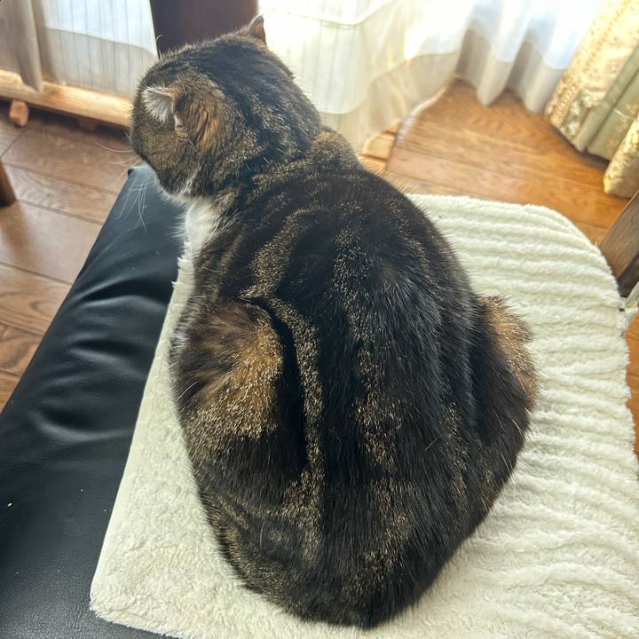 B7741bcb 3c6d 4848 b4d0 f2bb55a1bd6b 1772837077648