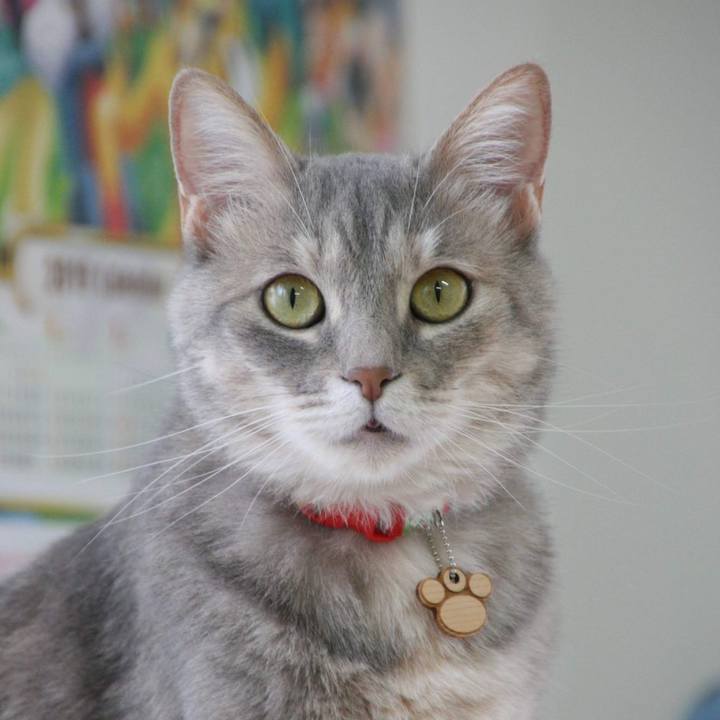 B774362f c592 4dac bfa1 c19d5270f6e4 1558339643052