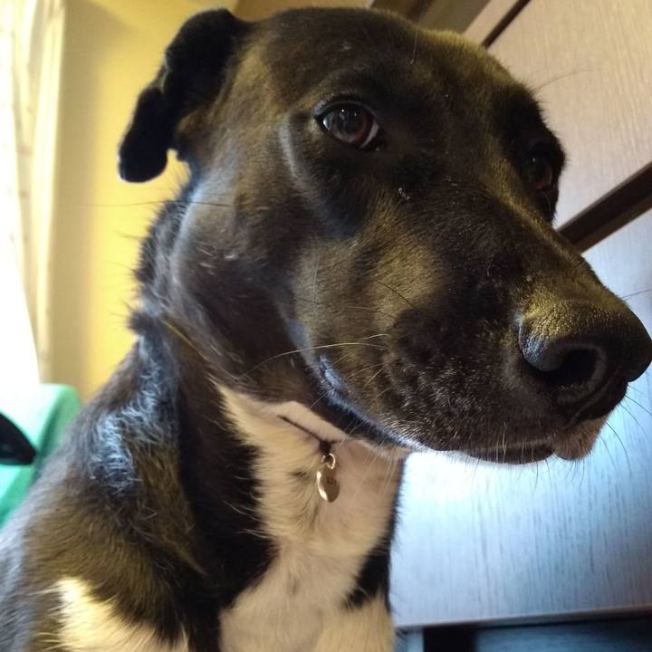 B774492b 44a9 4d0b 9e8f f87091c771ae 1587610587243