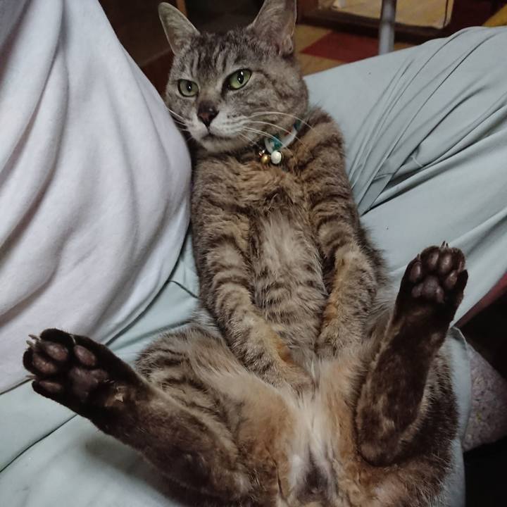 B774b578 d313 44f9 a068 b9d2c96caab0 1561198821495