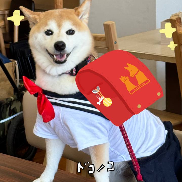 B774b5ee 3740 4abd a826 a3ba22eef220 1744339461617