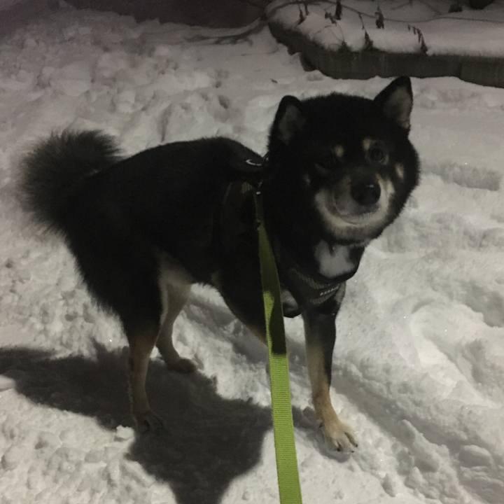 B774bfb6 95e2 48bc be44 d8f31f72948b 1512596584551