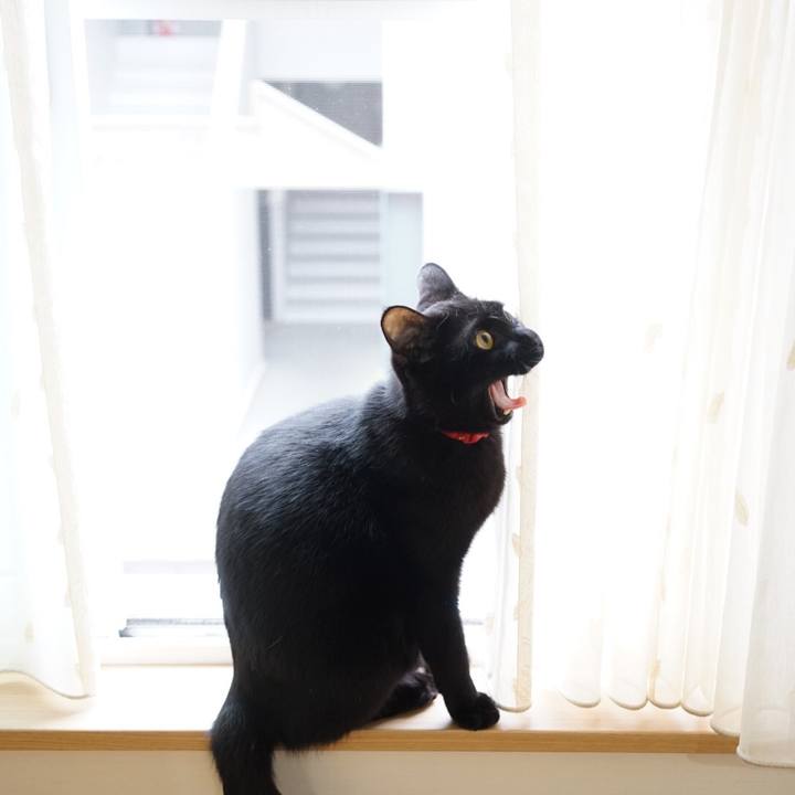 B774f32d 3150 412e 846c cfe1a4cc43e8 1538730451439