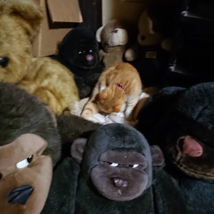 B77502e3 f7eb 4c11 a72c 1eb93857e042 1604744393974