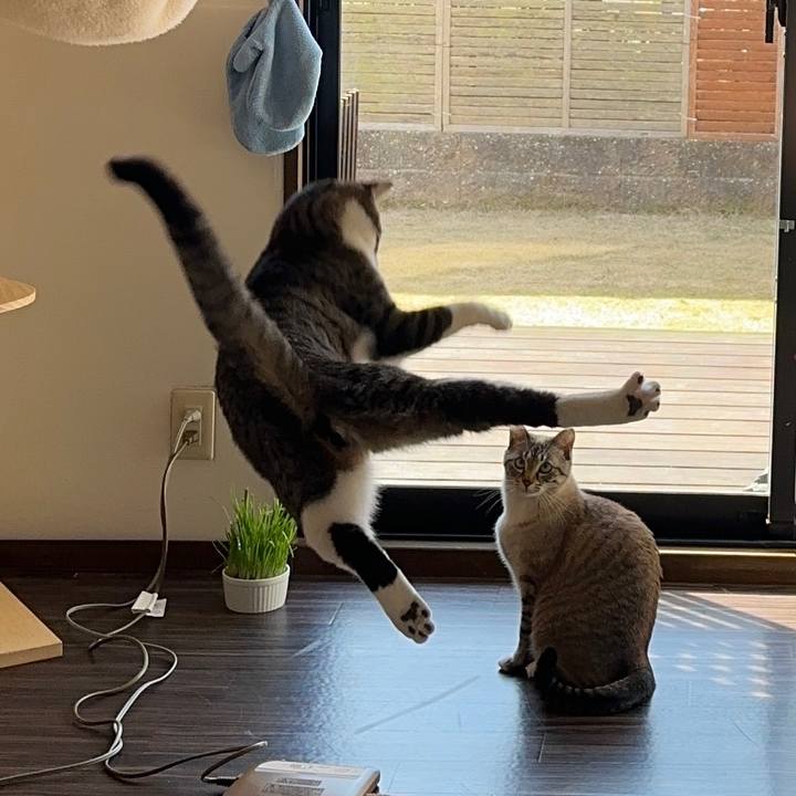 B7751bf8 1ac5 447b a2f1 383754792da8 1679467634878