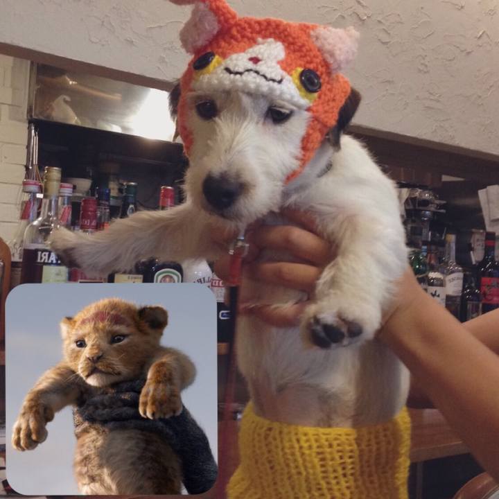 B775318a bf70 4a0c 84bb b2c4e6352872 1565908304903