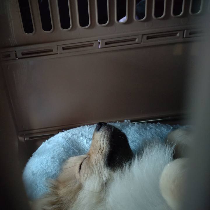 B7754ded 6372 4492 a1d1 123b3698b1af 1725491918313