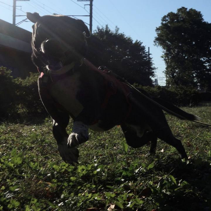 B775596f 87d6 45a0 b9b1 7ff65ce52d2e 1666313214205