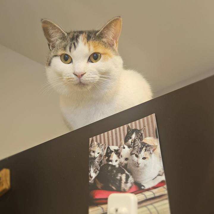 B775bb0d dcac 42a7 a004 7697641f8cd9 1775645347196