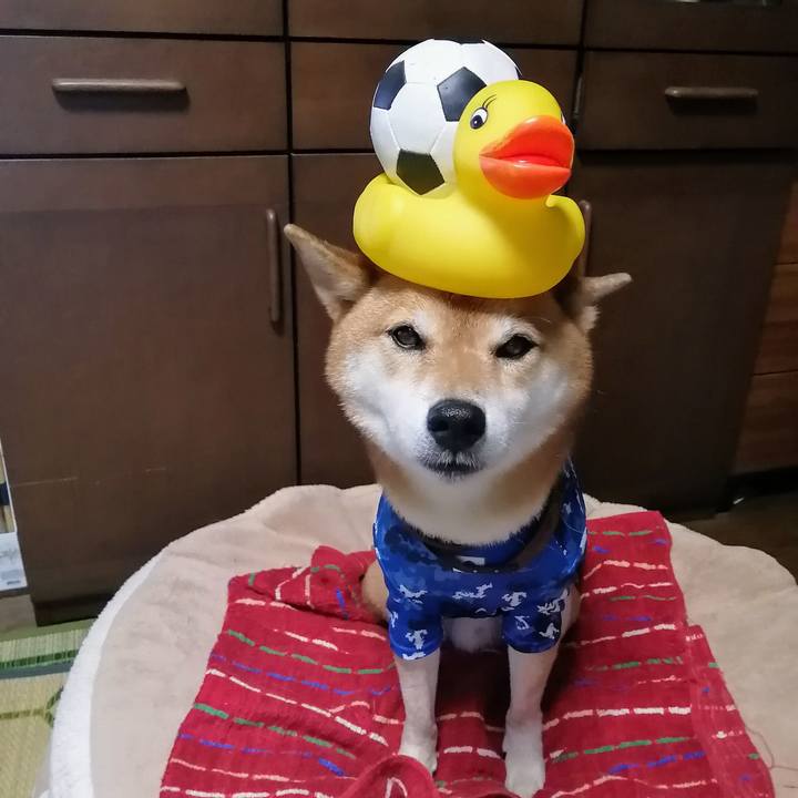 B776464e 54ed 448c 8ecc 1fdcd30985e9 1628240852936