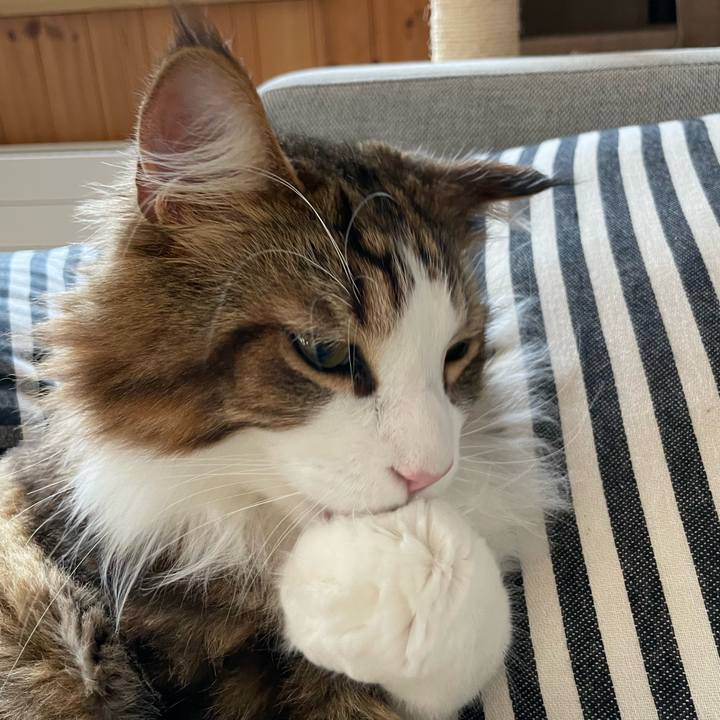 B7765280 46f0 457e b67d aee40f4231c3 1662156063217