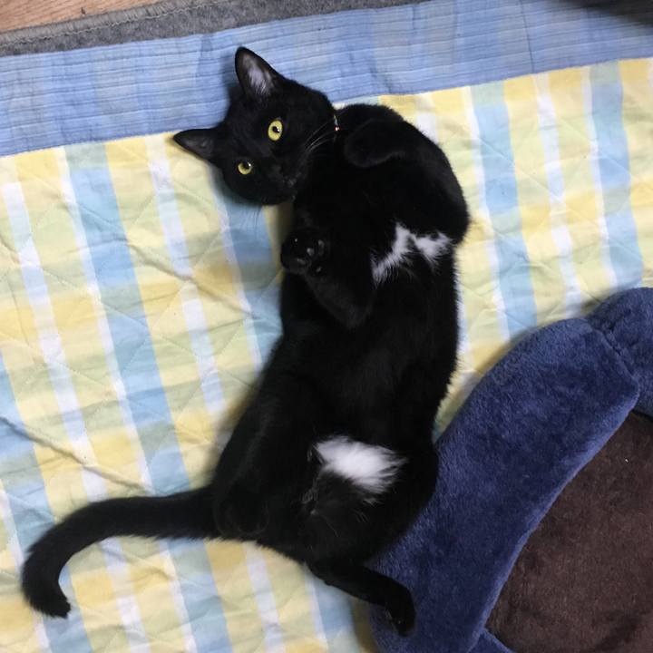 B776b265 a144 49a2 b0bd f0a094de2b96 1525671566615