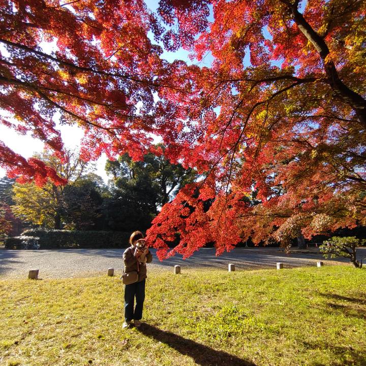 B776b847 8341 444c 9b08 a6844e5d5e53 1764385009871