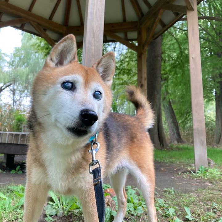 B776c8a4 4ce9 4588 9adb 51c1e76a36e5 1759295955649