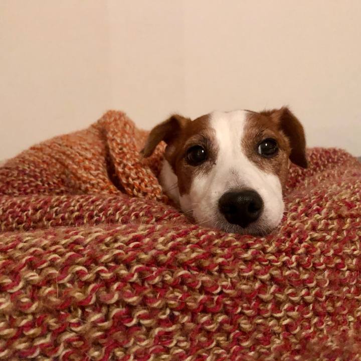 B776cb4f f499 4b1a b7b6 11c52dd2f91c 1696591897500