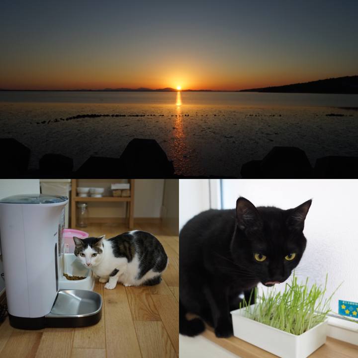 B776d9f7 fa4a 459e 923f 384839c8aca8 1546262740069