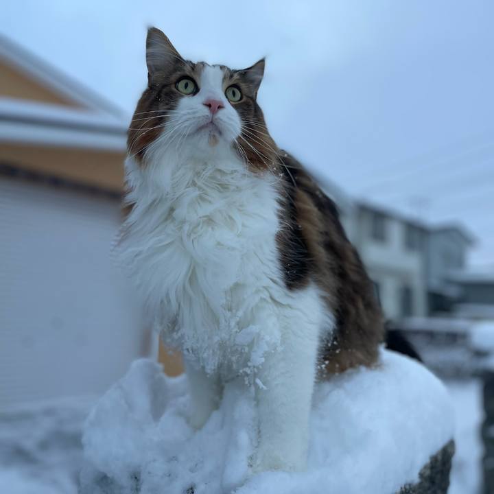 B776fb23 e81d 4a39 9b51 0677a5a3e60f 1766874773618