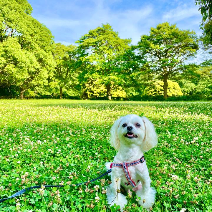 B7770581 f6f1 4b0d bffb 8b1ca9b0bcbb 1622532705883